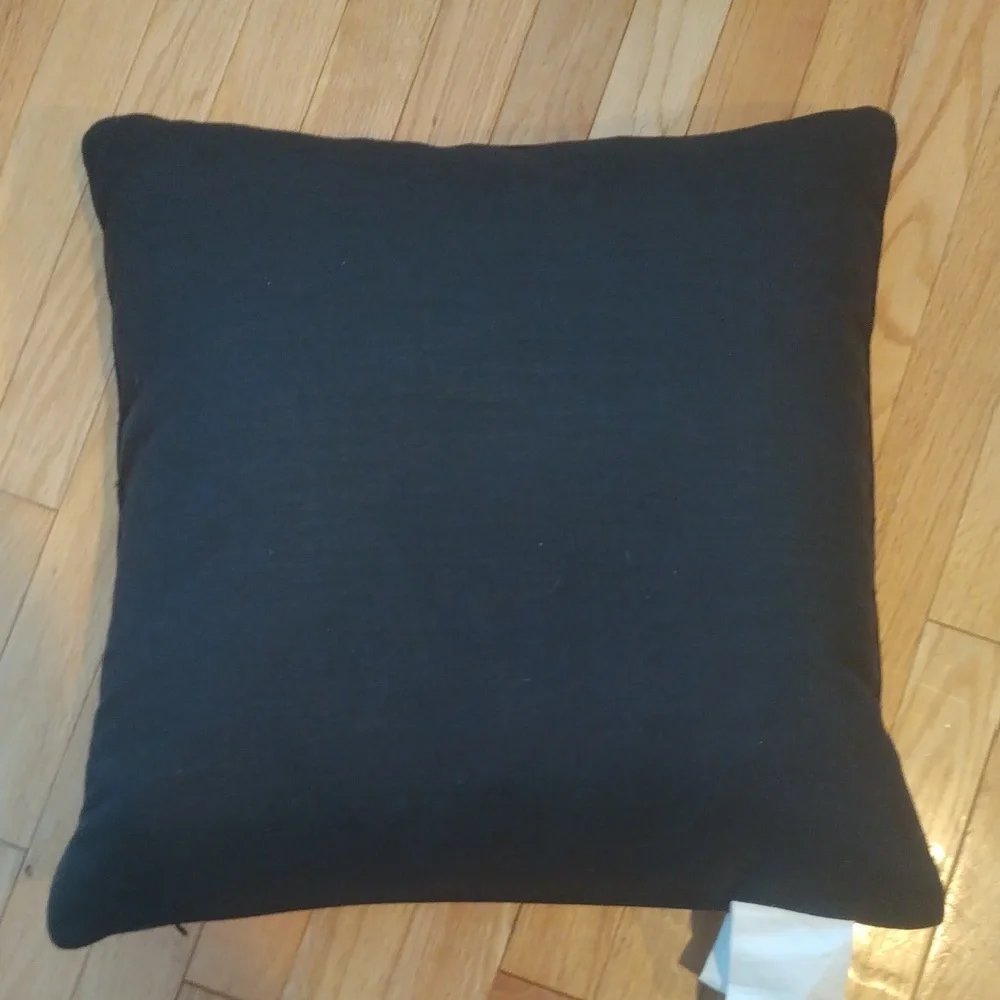 5/$25 - Decorative duck filled feathers removable pillow cover square pillow